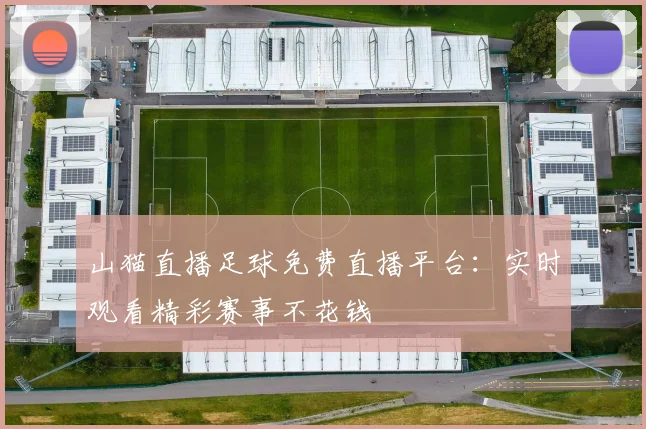 山猫直播足球免费直播平台：实时观看精彩赛事不花钱